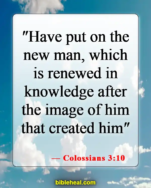 Bible Verse About Renewing Your Mind (Colossians 3:10)