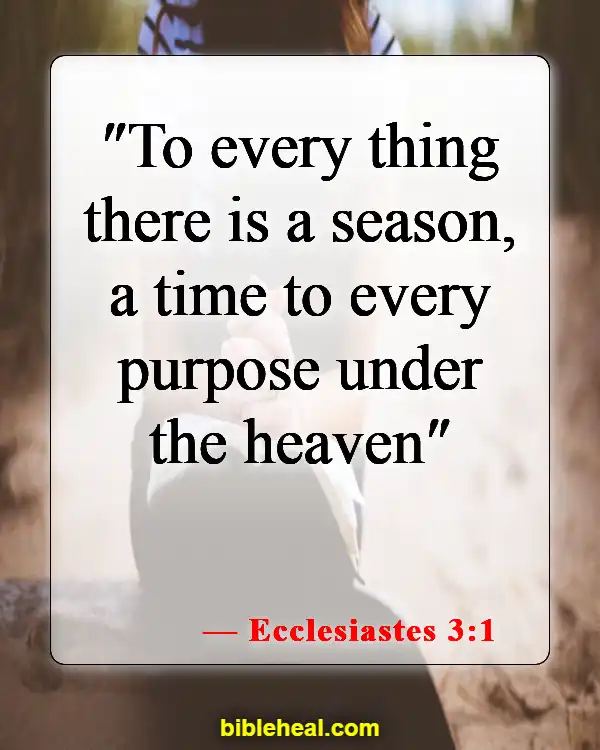 Bible Verses About Everything Happens For A Reason (Ecclesiastes 3:1)