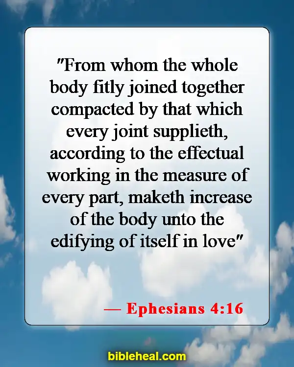 Bible Verse About Community Working Together (Ephesians 4:16)