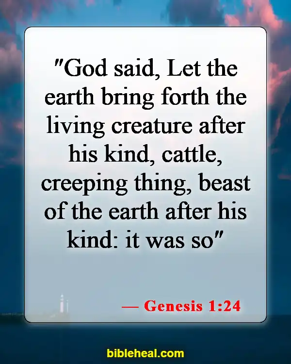 Bible Verses That Prove Evolution Wrong (Genesis 1:24)