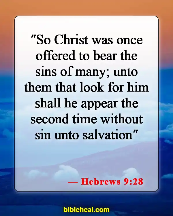 Bible Verses About Being Reunited With Loved Ones In Heaven (Hebrews 9:28)