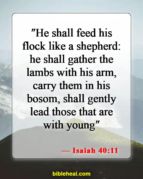 Bible Verses About Animals Having Souls (Isaiah 40:11)