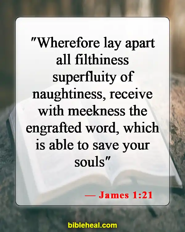 Bible Verse About Renewing Your Mind (James 1:21)