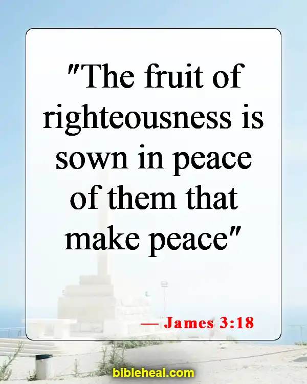 Bible Verse About Peace And Unity In The Family (James 3:18)