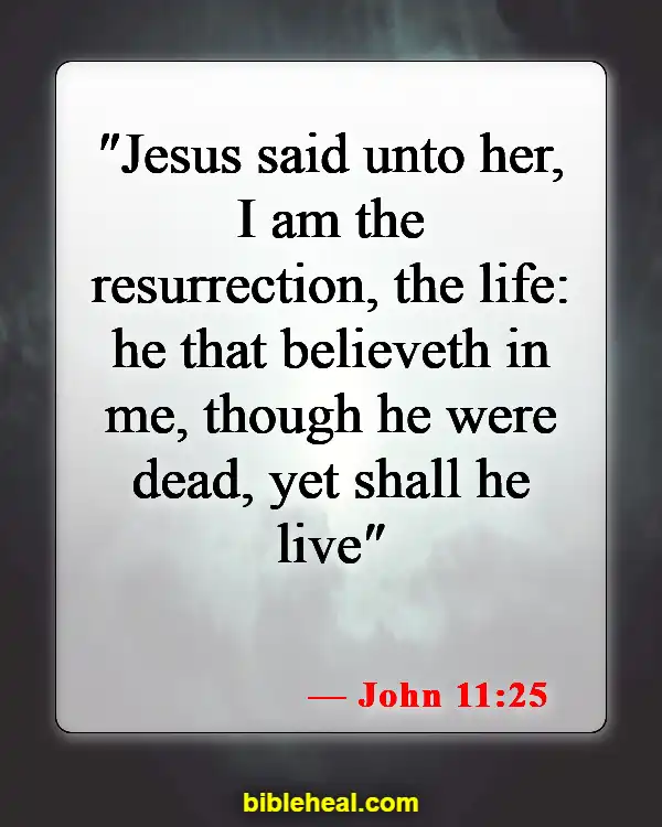 Bible Verse About Accepting Jesus (John 11:25)