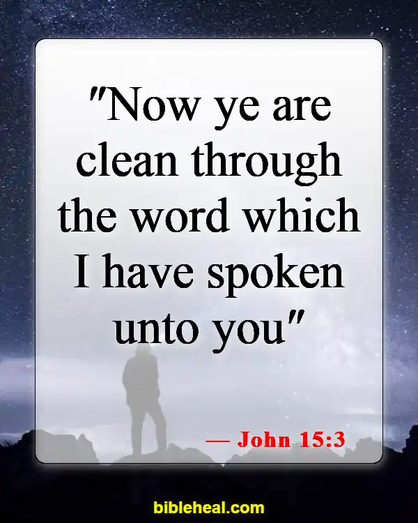 Bible Verse About Renewing Your Mind (John 15:3)