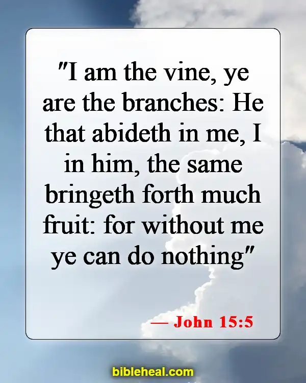 Bible Verse About Accepting Jesus (John 15:5)