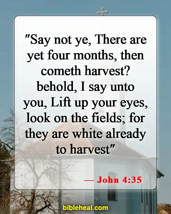 Bible Verses About Reaching Out To The Lost (John 4:35)