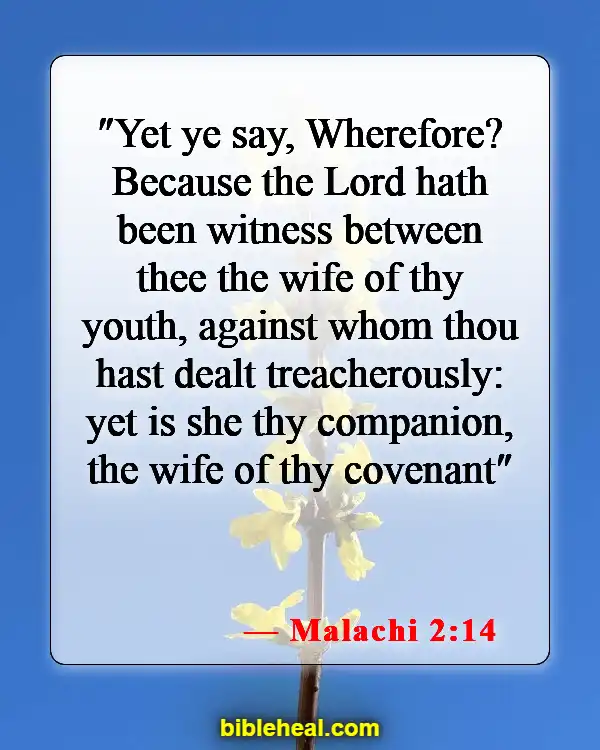 Bible Verses About Mistreating Your Wife (Malachi 2:14)