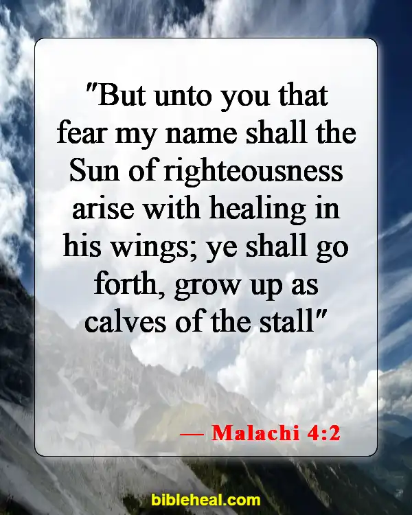 Bible Verses About God Protecting Us From Sickness (Malachi 4:2)