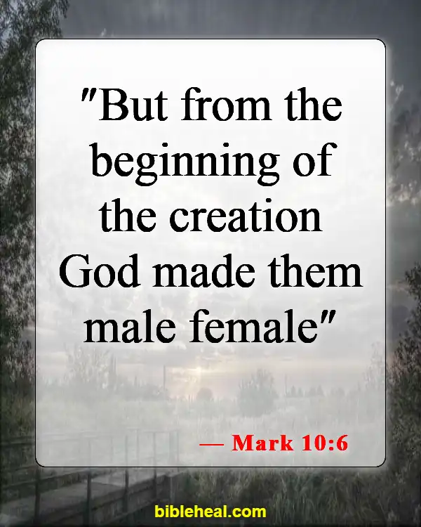 Bible Verses That Prove Evolution Wrong (Mark 10:6)