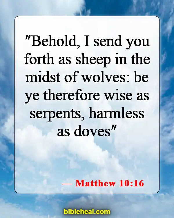 Bible Verses About Commitment To Ministry (Matthew 10:16)