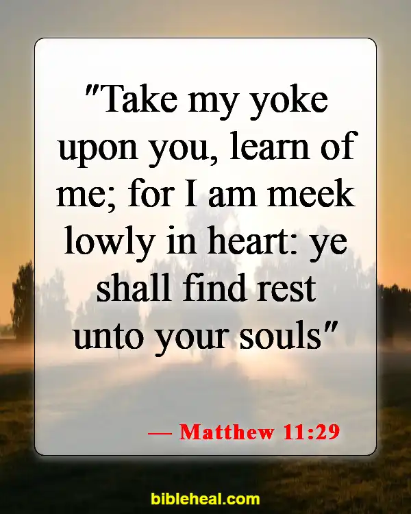 Bible Verse Humble Yourself Under The Mighty Hand Of God (Matthew 11:29)