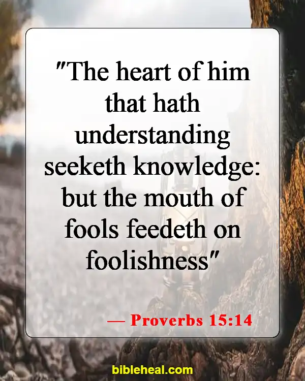 Bible Verses For When You Feel Dumb (Proverbs 15:14)