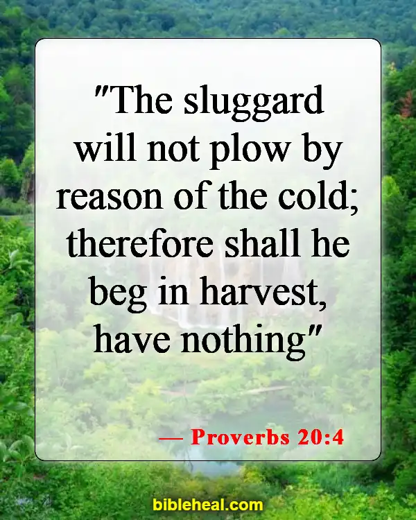 Bible Verse About Working Hard And Not Being Lazy (Proverbs 20:4)