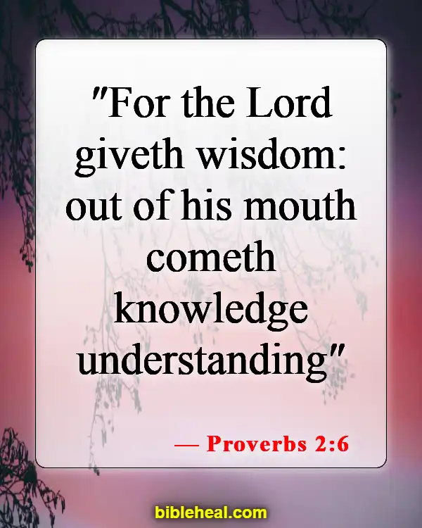 Bible Verses For When You Feel Dumb (Proverbs 2:6)