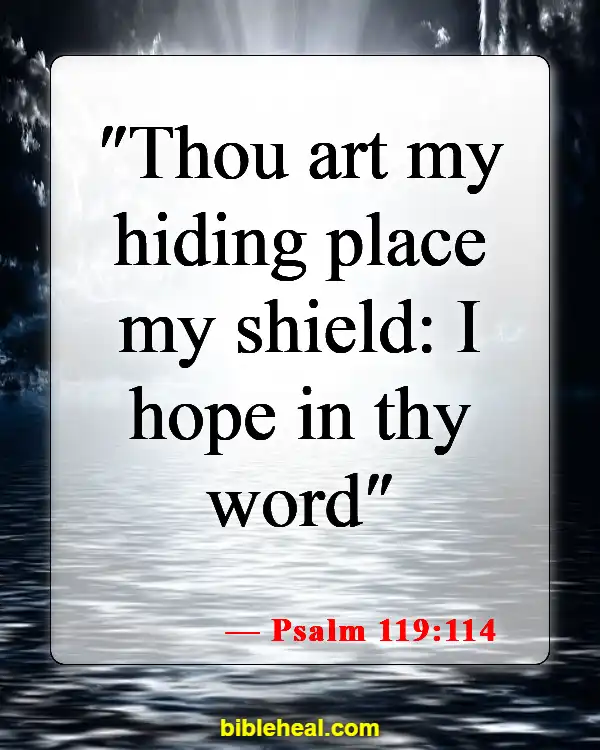 Bible Verses When You Feel Defeated (Psalm 119:114)