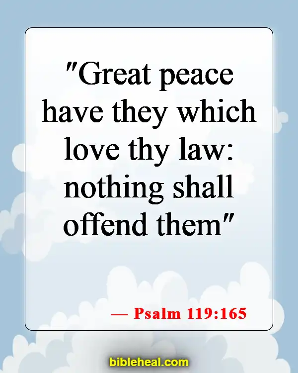 Bible Verse About Finding Peace In Hard Times (Psalm 119:165)