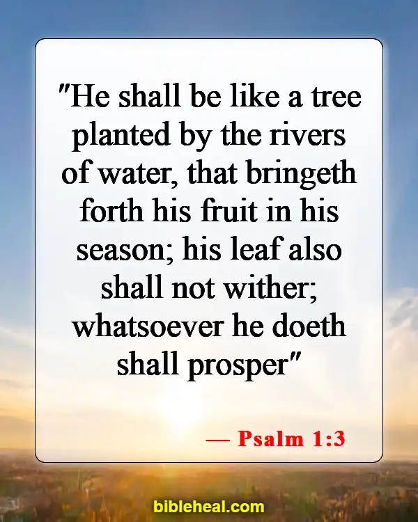 Bible Verses About God's Financial Blessings (Psalm 1:3)