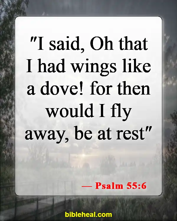 Bible Verse About Finding Rest In God (Psalm 55:6)