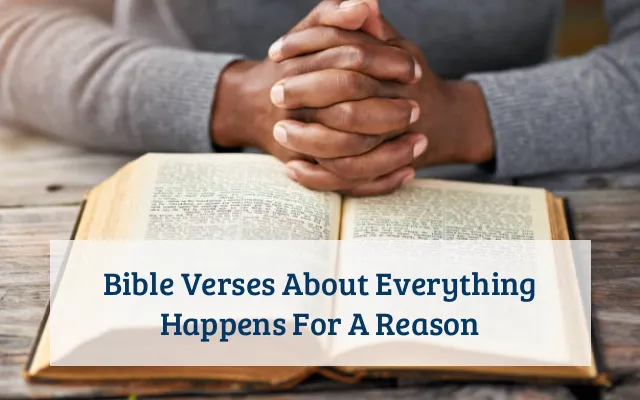 Bible Verses About Everything Happens For A Reason