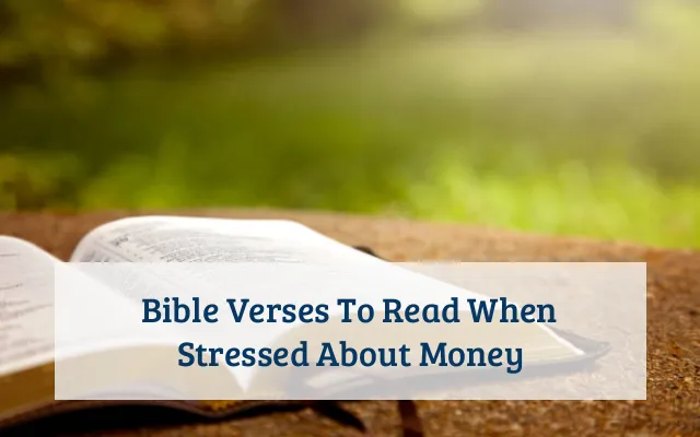 Bible Verses To Read When Stressed About Money