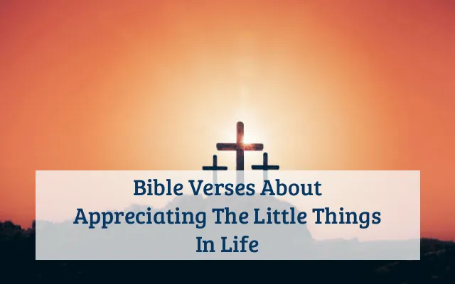 Bible Verses About Appreciating The Little Things In Life