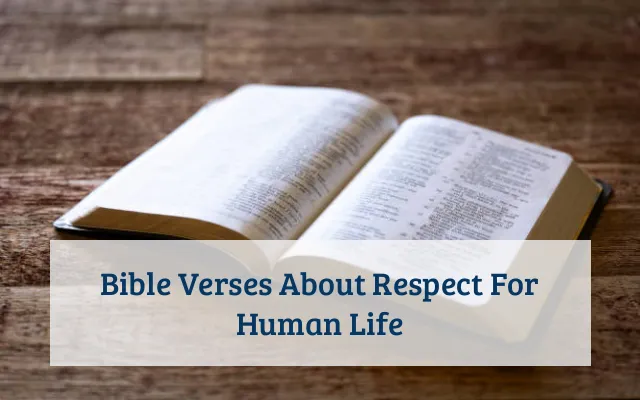 Bible Verses About Respect For Human Life