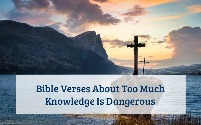 Bible Verses About Too Much Knowledge Is Dangerous