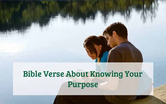 Bible Verse About Knowing Your Purpose