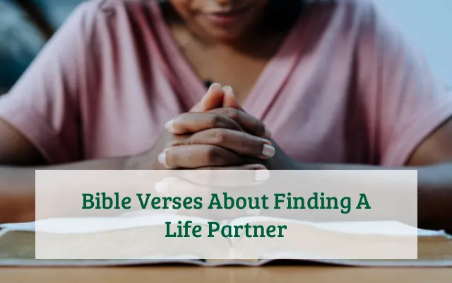 Bible Verses About Finding A Life Partner