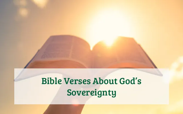 Bible Verses About God’s Sovereignty