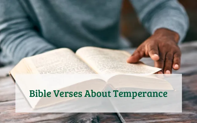 Bible Verses About Temperance