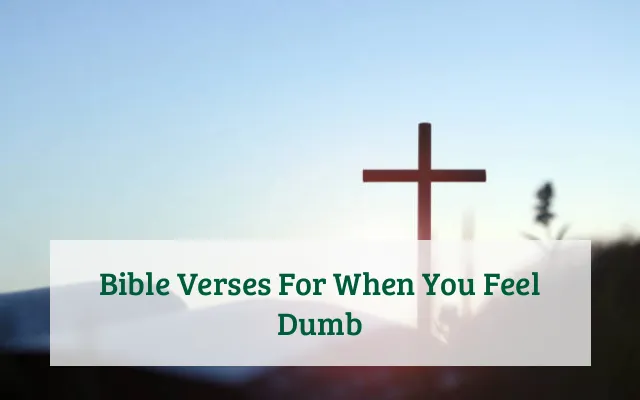 Bible Verses For When You Feel Dumb